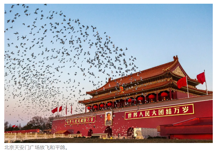 首页- 必发集团有限公司官方网站