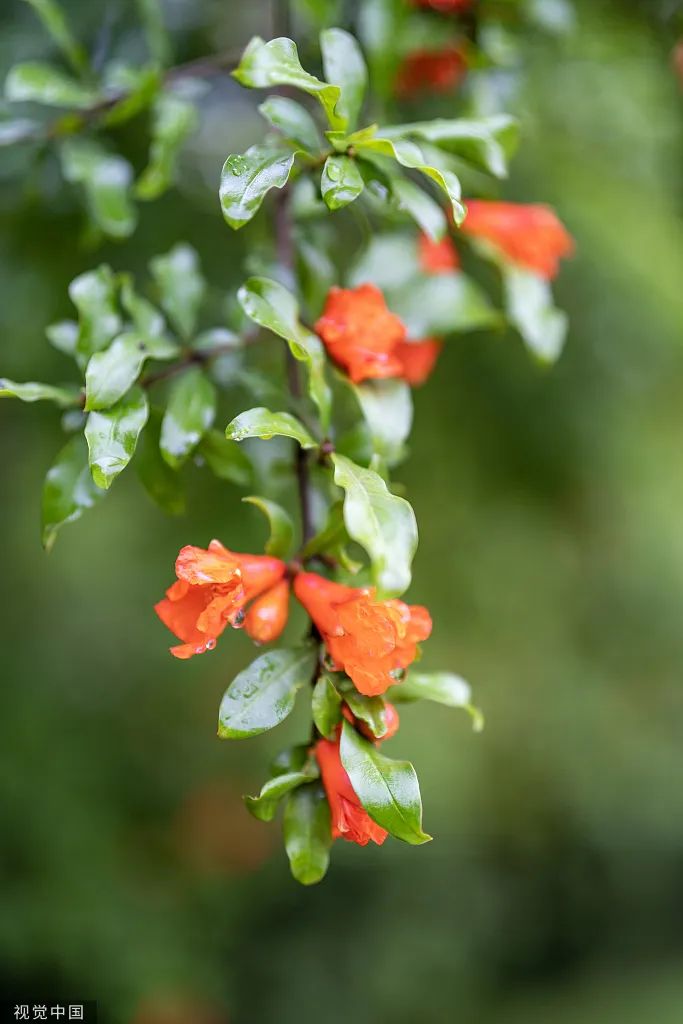 首页- 必发集团有限公司官方网站